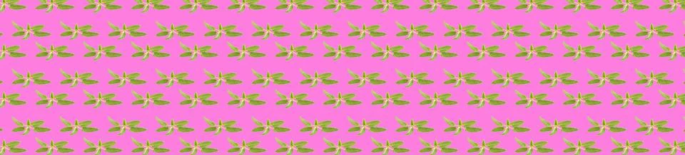 Seamless pattern isolated on red background Stock Photos