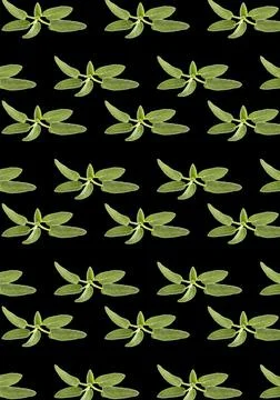 Seamless pattern isolated on red background Stock Photos