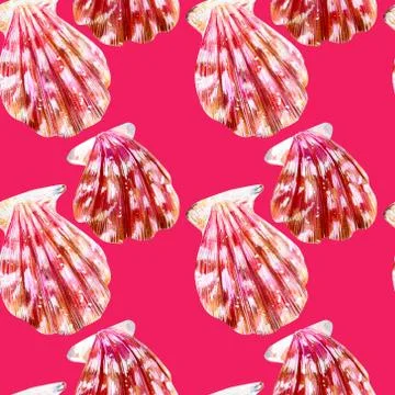 Seamless pattern of isolated sea shells scallops. Stock Illustration
