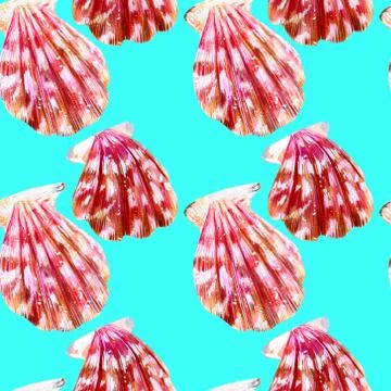 Seamless pattern of isolated sea shells scallops. 스톡 일러스트