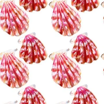 Seamless pattern of isolated sea shells scallops. Illustrazione stock