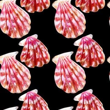 Seamless pattern of isolated sea shells scallops. Stock Illustration