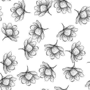 Seamless pattern japan sakura sketch hand drawn Stock Illustration