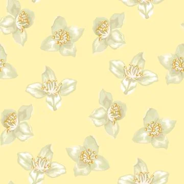 Seamless pattern with jasmine flowers Stock Illustration