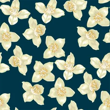 Seamless pattern with jasmine flowers 스톡 일러스트