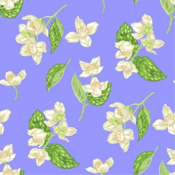 Seamless pattern with jasmine flowers in realistic graphic vector illustratio Stock Illustration