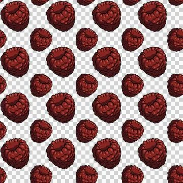 Seamless pattern with juicy red raspberries on transparent background Stock Illustration