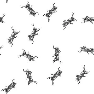 Seamless pattern jumping grasshopper sketch hand drawn Stock Illustration