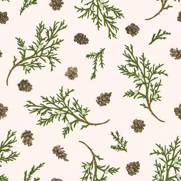 Seamless pattern with juniper branches. Illustrazione stock