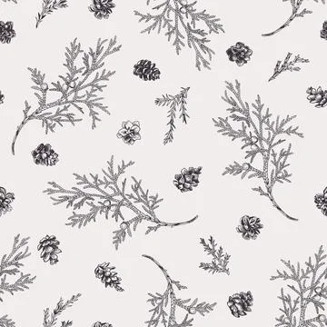 Seamless pattern with juniper branches. Illustrazione stock
