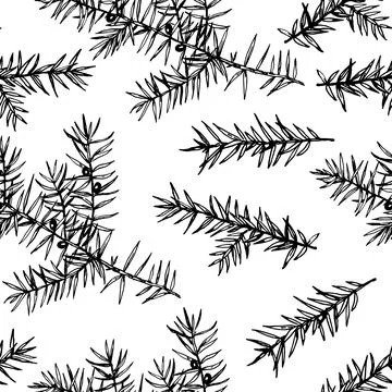 Seamless pattern with juniper branches. Monochrome vector illustration in e.. Stock Illustration