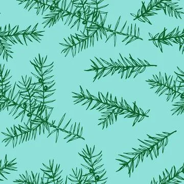 Seamless pattern with juniper branches. Monochrome vector illustration in e.. Stock Illustration