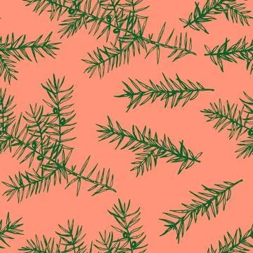 Seamless pattern with juniper branches. Monochrome vector illustration in e.. Stock Illustration