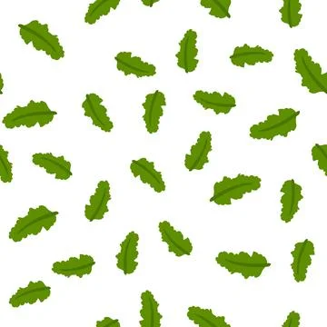 Seamless pattern with kale on white background. Vector illustration of fresh Stockillustratie