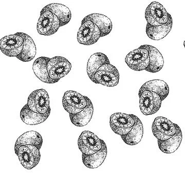 Seamless pattern kiwi fresh fruit sketch hand drawn Stock Illustration