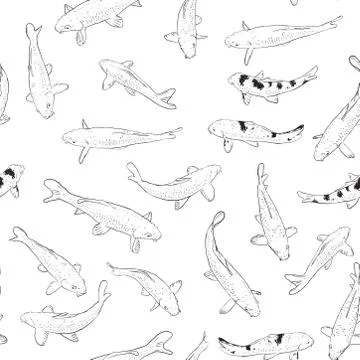 Seamless pattern Koi carp nishikigoi literally brocaded carp. Common carp tha Stock Illustration