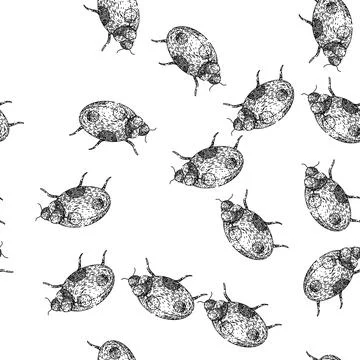 Seamless pattern lady ladybug sketch hand drawn Stock Illustration