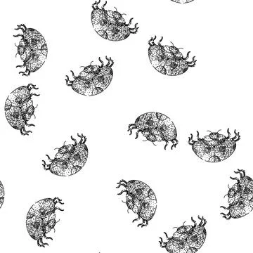 Seamless pattern ladybird ladybug sketch hand drawn Stock Illustration