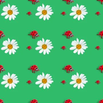 Seamless pattern of ladybug and chamomile on a green background Stock Photos
