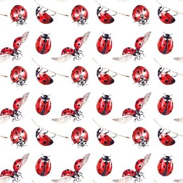 Seamless pattern with ladybugs isolated on white background. Bright red lady Illustrazione stock