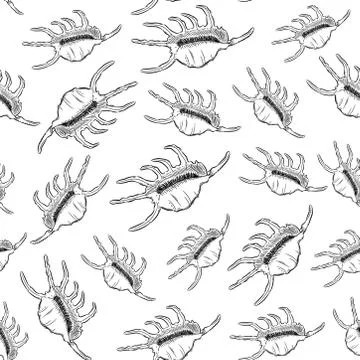 Seamless pattern Lambis Scorpion conch Chicoreus aculeatus, large sea snail U Stock Illustration