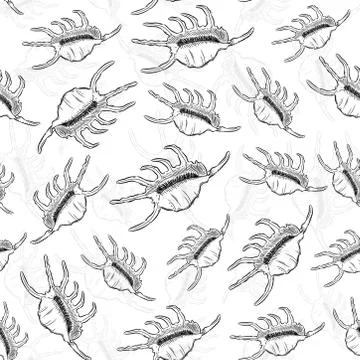 Seamless pattern Lambis Scorpion conch Chicoreus aculeatus, large sea snail U Stock Illustration