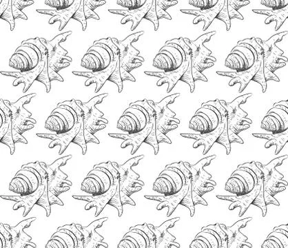 Seamless pattern Lambis spider conch Chicoreus aculeatus, large sea snail Uni Stock Illustration