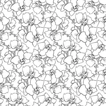 Seamless pattern of large black silhouettes of orchids on a white backgroun.. Stock Illustration