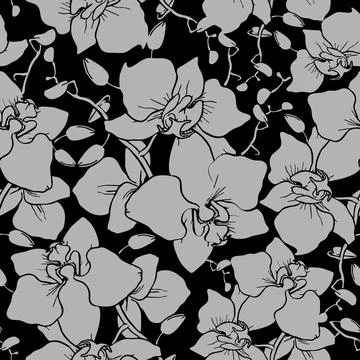 Seamless pattern of large gray silhouettes of orchids on a black background.. Stock Illustration