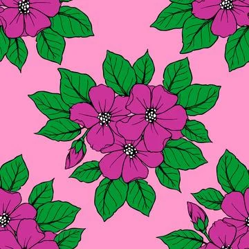 Seamless pattern of large magenta flowers on a pink background, texture, desi Stock Illustration