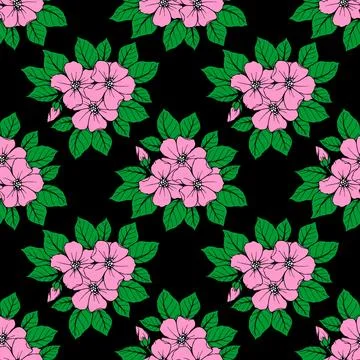 Seamless pattern of large pink flowers on a black background, texture, design Illustrazione stock