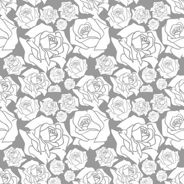 Seamless pattern of large red and pink rose buds, texture, design Stock Illustration