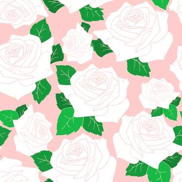 Seamless pattern of large white rose flowers with leaves on a pink backgrou.. Illustrazione stock