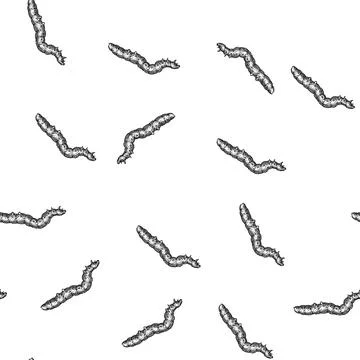 Seamless pattern larva caterpillar sketch hand drawn 库存插图