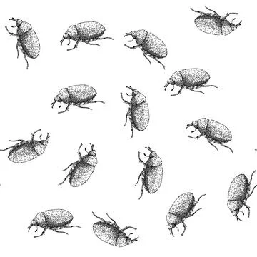 Seamless pattern larva chafer sketch hand drawn Illustrazione stock