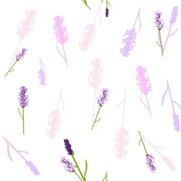 Seamless pattern with lavender for design of invitation cards, wedding cards Stock Illustration