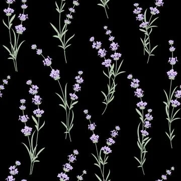 Seamless pattern of Lavender flower. Stock Illustration