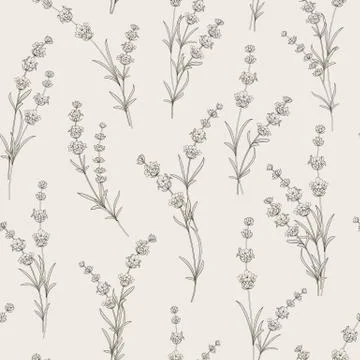 Seamless pattern of lavender flowers. 스톡 일러스트