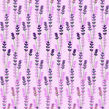 Seamless pattern of lavender flowers in summer spring Stock Illustration