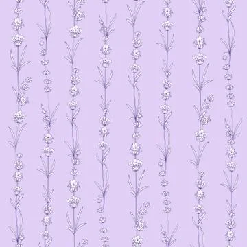 Seamless pattern of lavender flowers on a violet background. Tile pattern with Stock Illustration
