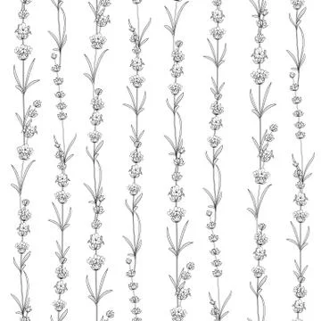 Seamless pattern of lavender. イラスト素材