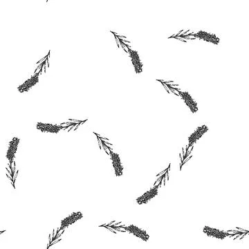 Seamless pattern lavender lavender sketch hand drawn 库存插图