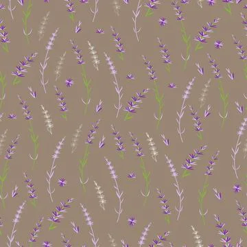 Seamless pattern with lavender. Vector illustration. Flowers. Stock Illustration