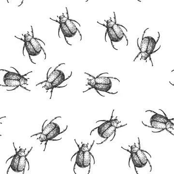 Seamless pattern lawn chafer sketch hand drawn Illustrazione stock