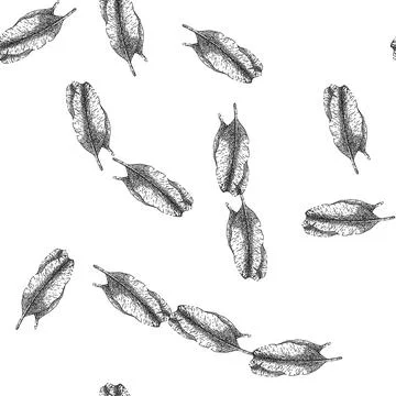 Seamless pattern leaf banana sketch hand drawn Stock Illustration