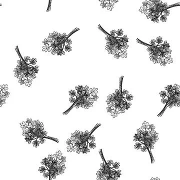 Seamless pattern leaf coriander sketch hand drawn Stock Illustration