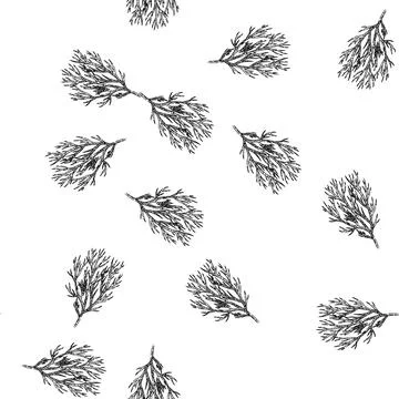 Seamless pattern leaf dill sketch hand drawn Stock Illustration