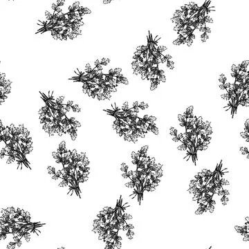 Seamless pattern leaf parsley sketch hand drawn Stock Illustration