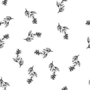Seamless pattern leaf sage sketch hand drawn Stock Illustration