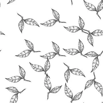 Seamless pattern leaf tea sketch hand drawn Stockillustratie